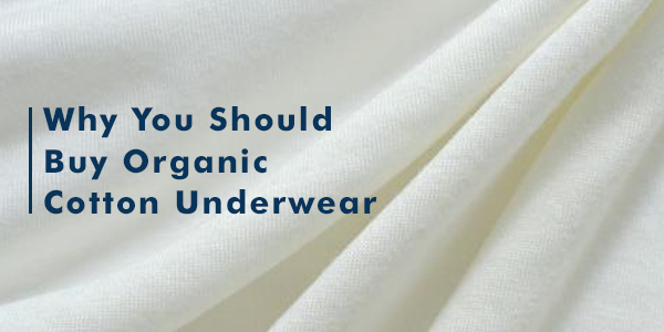 Reasons to Buy Organic Cotton Underwear