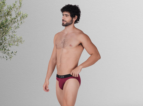 Second Skin Micromodal Neo Brief