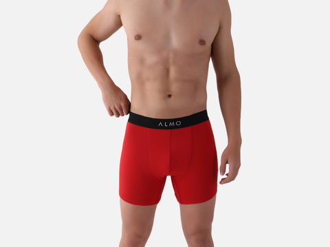 Second Skin MicroModal solid Boxer Brief (Pack of 9)