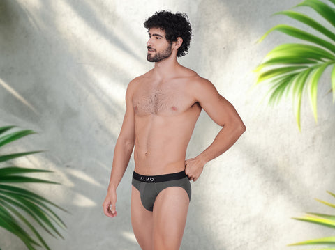 Second Skin Micromodal Neo Brief