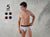 Second Skin Micromodal Brief (Pack of 5)