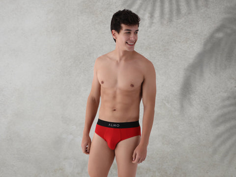 Second Skin Micromodal Brief